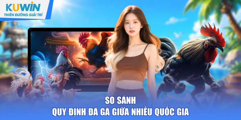 So sánh quy định đá gà giữa nhiều quốc gia