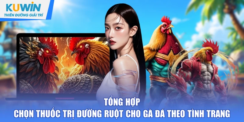 Tổng hợp chọn thuốc trị đường ruột cho gà đá theo tình trạng